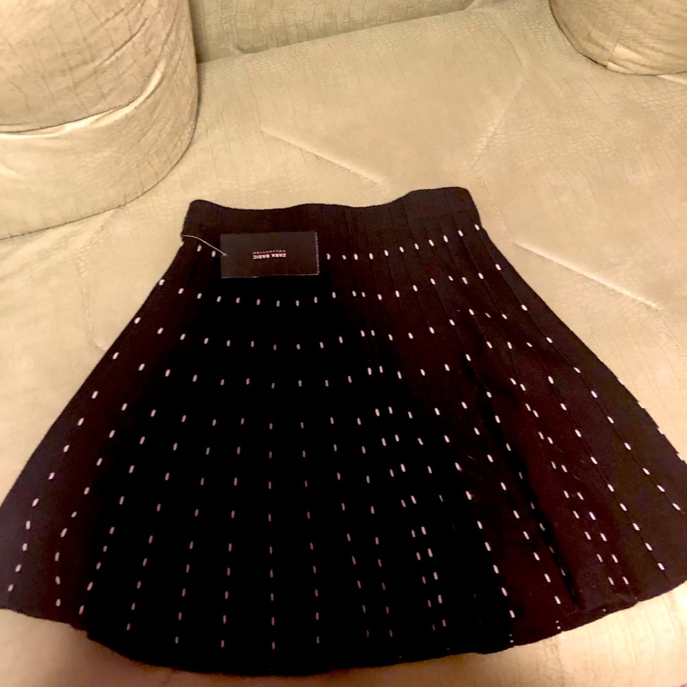 Brand new Zara skirt with tags